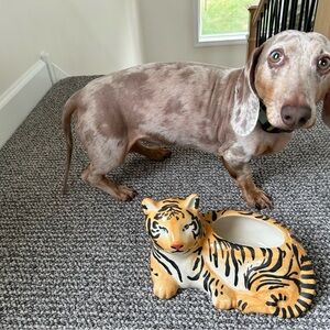 Anthropologie Tiger Ceramic Vase - Orange and Black